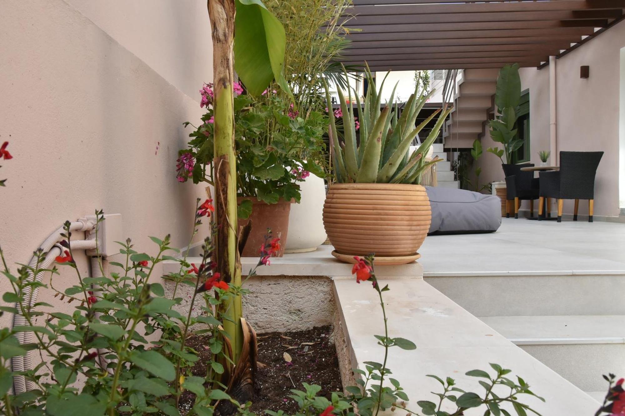Casa Enetiko Hotel Chania  Exterior photo